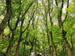 -宁波市保国寺古建筑博物馆