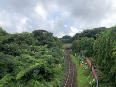 -济州森林小火车生态公园