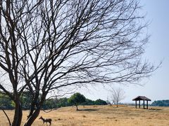 -良渚古城遗址公园