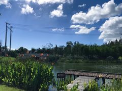 -上海长兴岛郊野公园