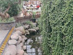 -金稼园·金平湖农家菜