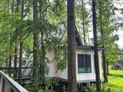 -黄海国家森林公园