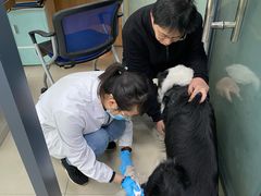 -申普宠物医院·眼科·心内科·影像科(普陀分院)