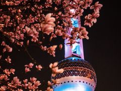 -东方明珠广播电视塔