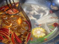 -辣伍鲜毛肚老火锅(元一店)