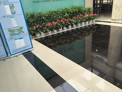 -厦门国家会计学院