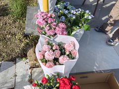 -龙大花卉苗木市场