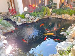 -鲤院·新中式美学·庭院餐厅(夫子庙店)