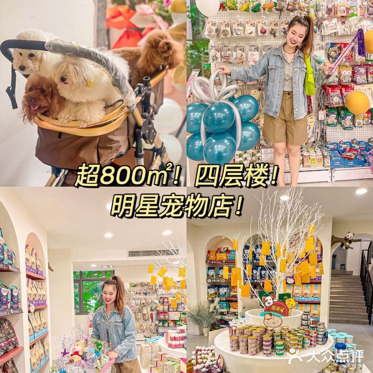 🦀️成都｜明星同款宠物店❗️毛孩子的快乐星球