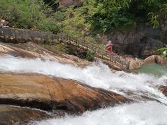 -广州白江湖森林公园