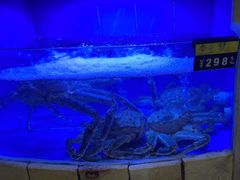 -大榭国际大酒店-中餐厅