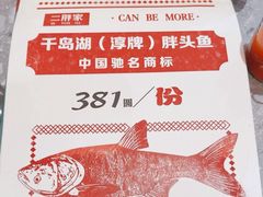 -二胖家铁锅炖大鹅(双井店)