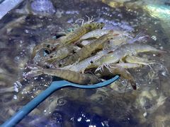 -聚盛源蒸汽海鲜火锅烤肉自助(巨川金海岸购物广场店)