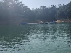 -广州市流溪河国家森林公园