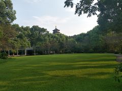 -浙江西子宾馆·瑶园咖啡厅