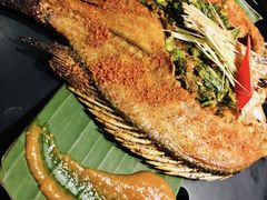 -雀舞云南菜(天津天河城购物中心店)