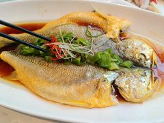 -阿英煲(凉城路店)