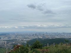 -长虫山生态公园风景林