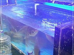 -姜君·千岛湖鱼头馆(浦东大道店)