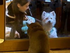 -吹泡·Triphop(棋盘店)