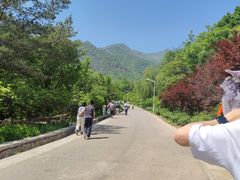 -北京鹫峰国家森林公园