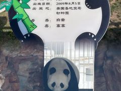 -石家庄市动物园