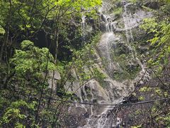 -石台牯牛降景区