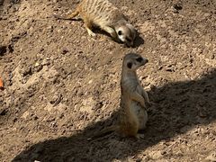 -北京野生动物园