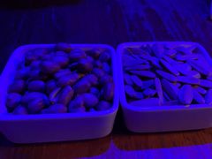 -考拉拉音乐酒吧