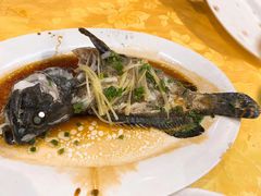 -阳江餐厅·30年老字号·粤菜海鲜大排档