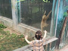 -西安秦岭野生动物园