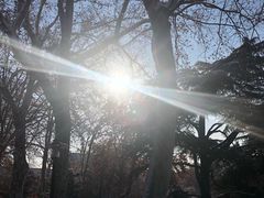 -山东师范大学(千佛山校区)