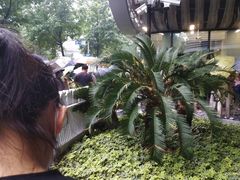 -上海市徐汇区口腔医院