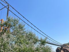 -黄金寨原生态旅游区