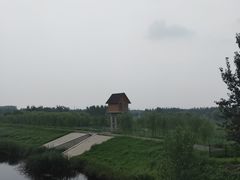 -东郊湿地公园