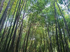 -河南省黄河迎宾馆