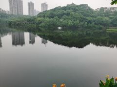 -重庆彩云湖湿地公园