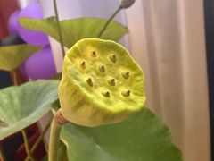 -观宴·品质赣菜(高新大道店)