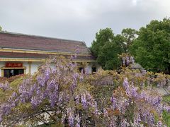 -报恩禅寺