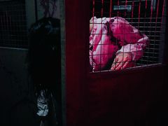 -关你鬼室大型密室逃脱(佛山创意园店)