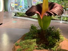 -济南植物园