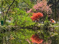 -成都市活水公园