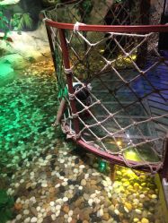 -酷嗒动物文化乐园(cutezoo西溪乐天城店)