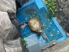 -汴河街