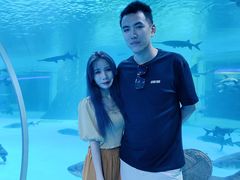 -西双版纳原始森林公园