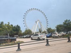 -日照海滨国家森林公园