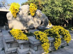 -沈阳植物园