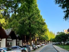 -太阳岛度假酒店