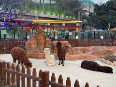 -大连森林动物园