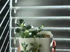 -中青旅遨游旅行旗舰店